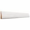 ReliaBilt Window & Door Moulding 11/16-in x 2-1/4-in 2-1/4-in x 10-ft Primed Wood Casing
