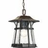 Progress Lighting Pendant Lighting Derby Espresso Craftsman Seeded Glass Lantern Outdoor Pendant Light