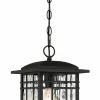 Quoizel Pendant Lighting Canyon Black Craftsman Clear Glass Square Outdoor Pendant Light