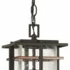 Minka Lavery Pendant Lighting San Marcos Black with Antique Copper Accents Craftsman Clear Glass Linear Outdoor Pendant Light