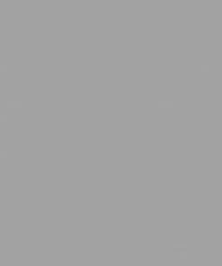 ReliaBilt Slab Doors Shaker 30-in x 80-in Driftwood 3-Panel Craftsman -Craftsman Store 14450251