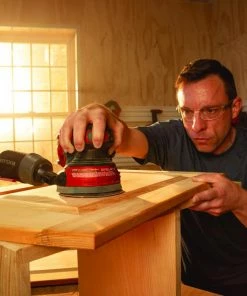 CRAFTSMAN Power Sanders V20 20-Volt Cordless Random Orbital Sander with Dust Management -Craftsman Store 18186554