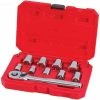 CRAFTSMAN Mechanics Tool Sets 10-Piece Standard (SAE) Polished Chrome Mechanics Tool Set (3/8-in)