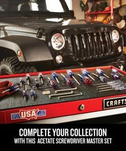 CRAFTSMAN Screwdrivers 42-Piece Acetate Handle Set Screwdriver Set -Craftsman Store 44100838